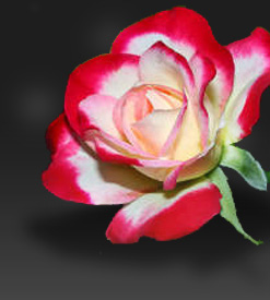 florist